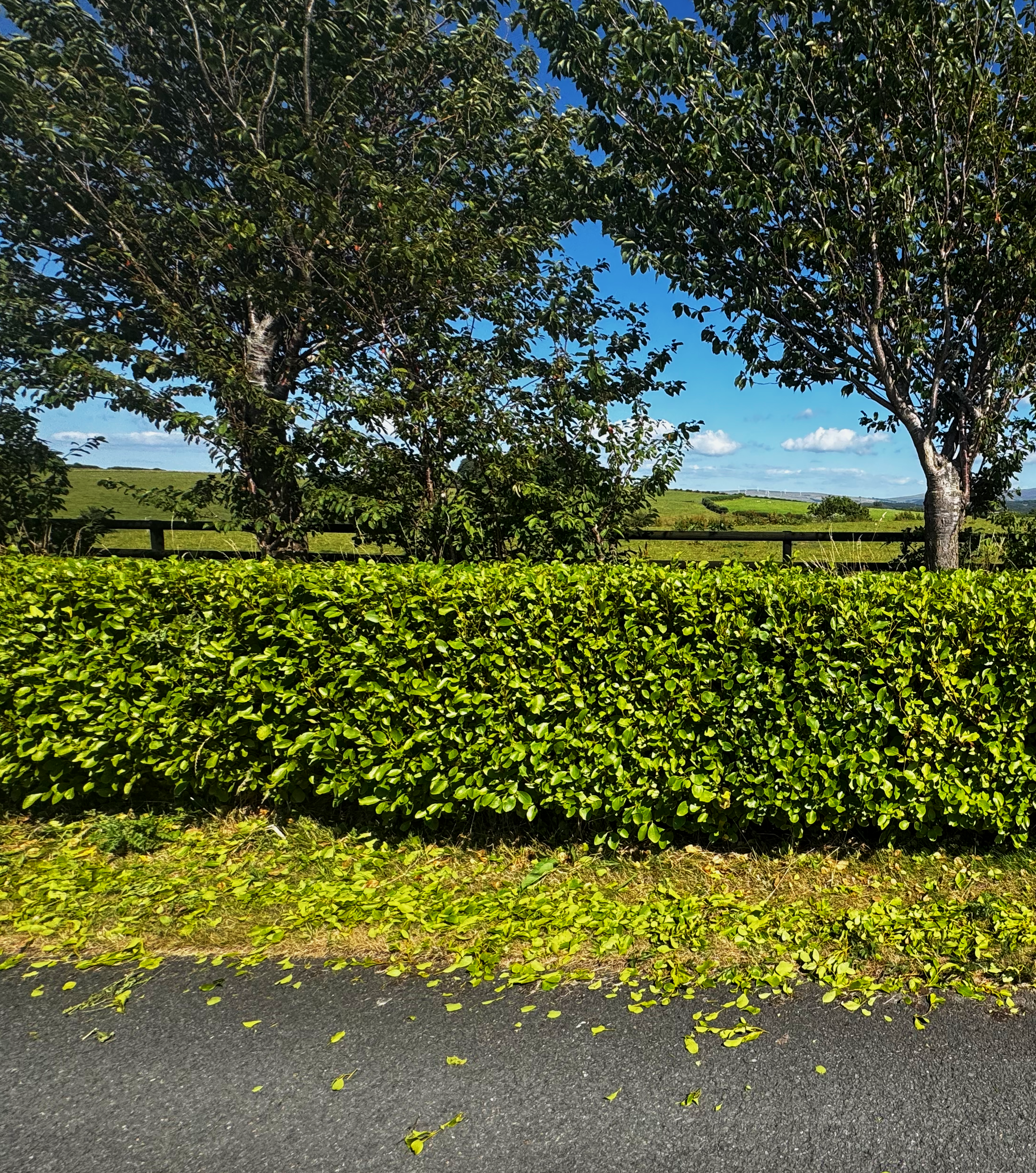 gardener in morecambe