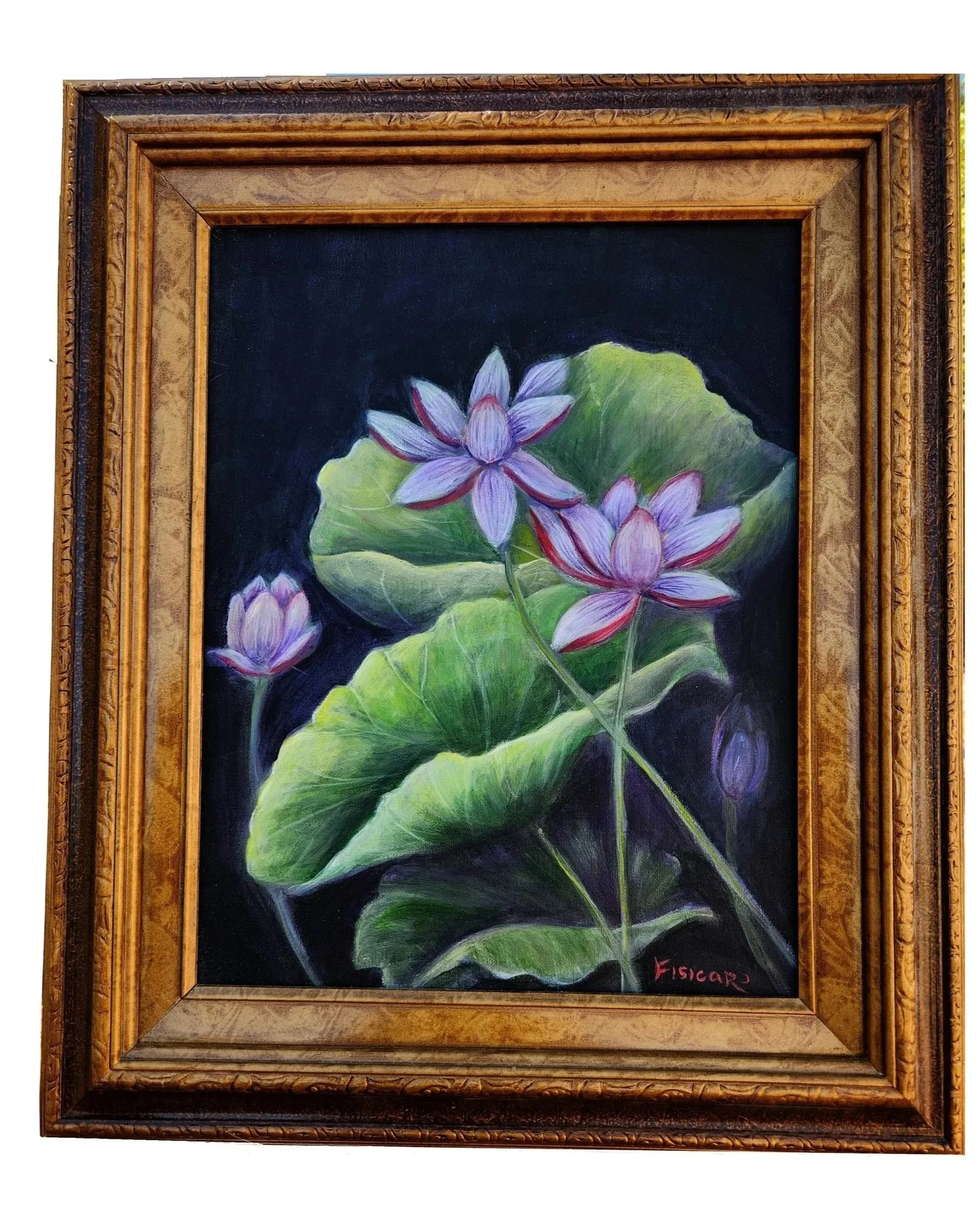 Lilies of the Night