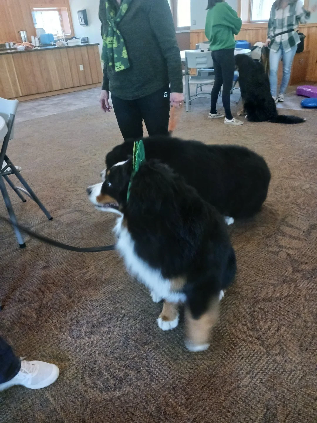 bd519a01cbf265061ce972079ef83bbb.jpg