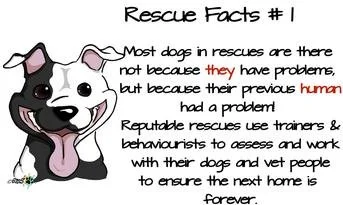 RESCUE FACTS.jpg