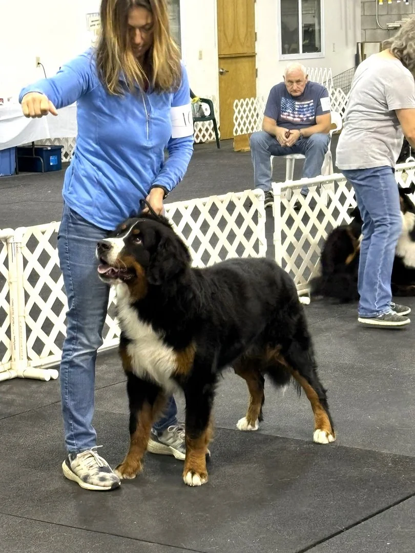 f73f48ff16f007fb1205a5885346f76c.jpg