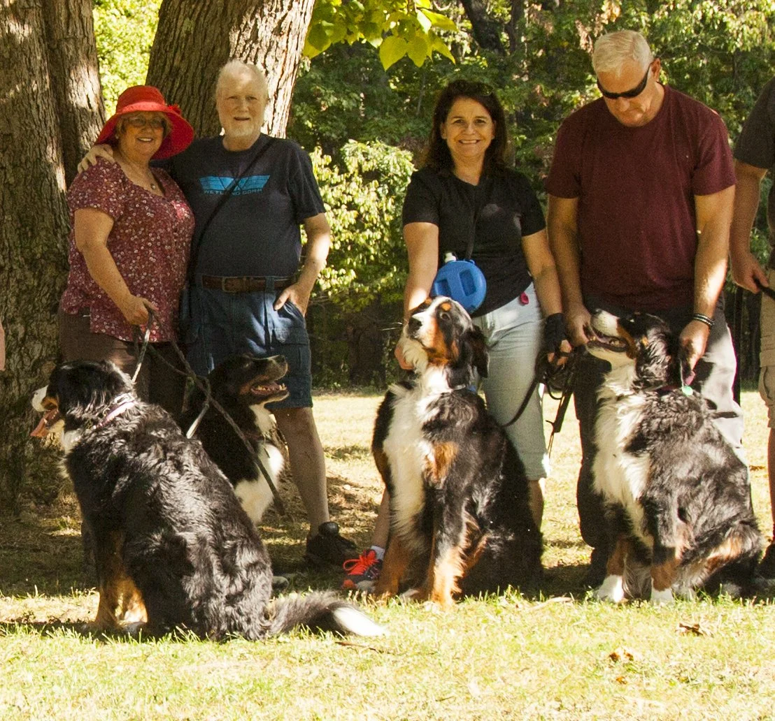 75246fc231b2afbe9b82f85a41e5e6f2.jpg