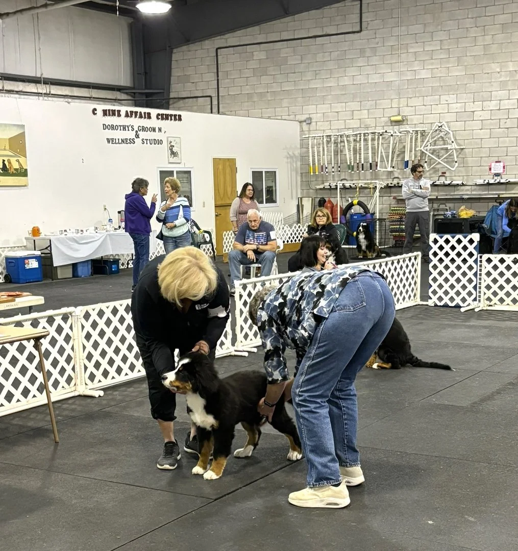 f17d4546d89fb895f19542a02538f4e4.jpg