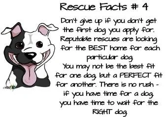 RESCUE FACTS 4.jpg