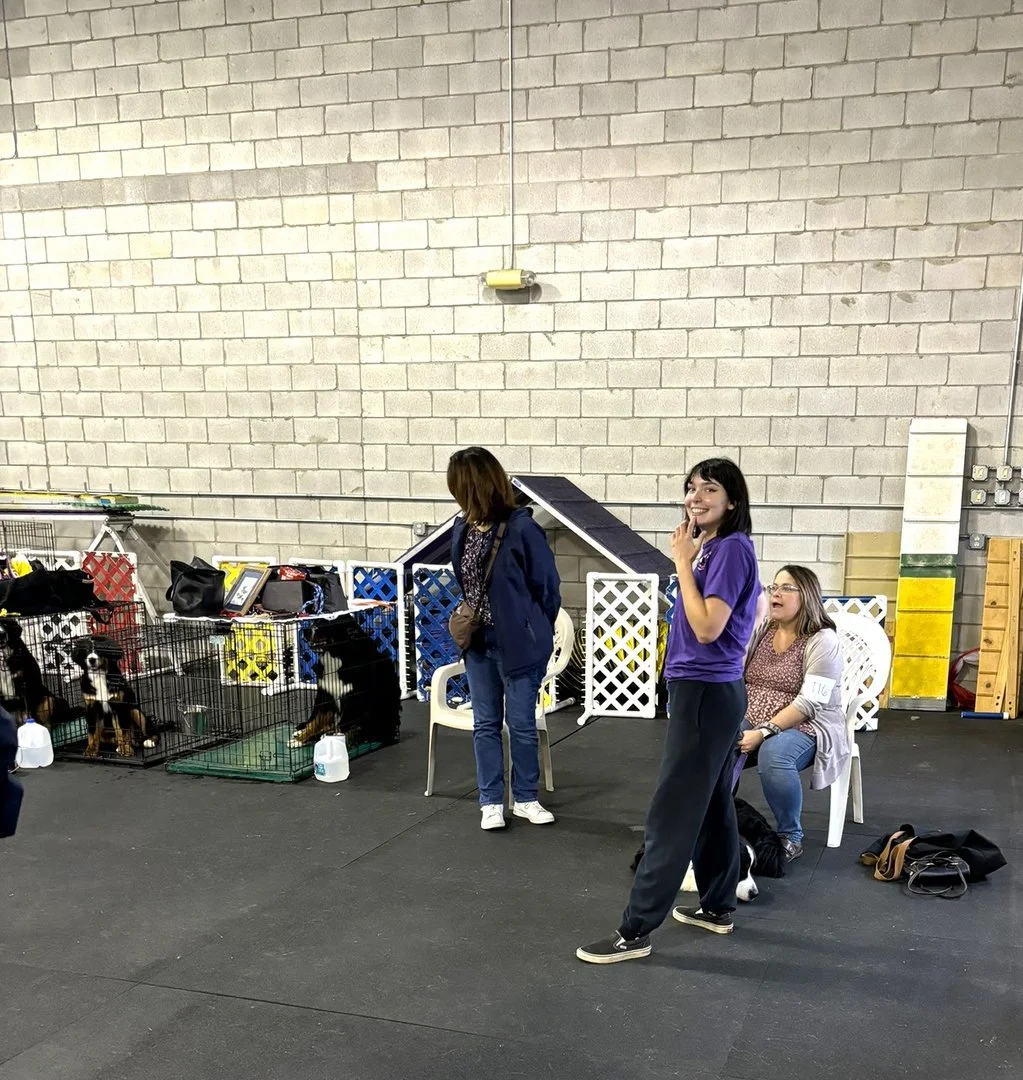 37e0468d73aafd72d3e978f334bee899.jpg