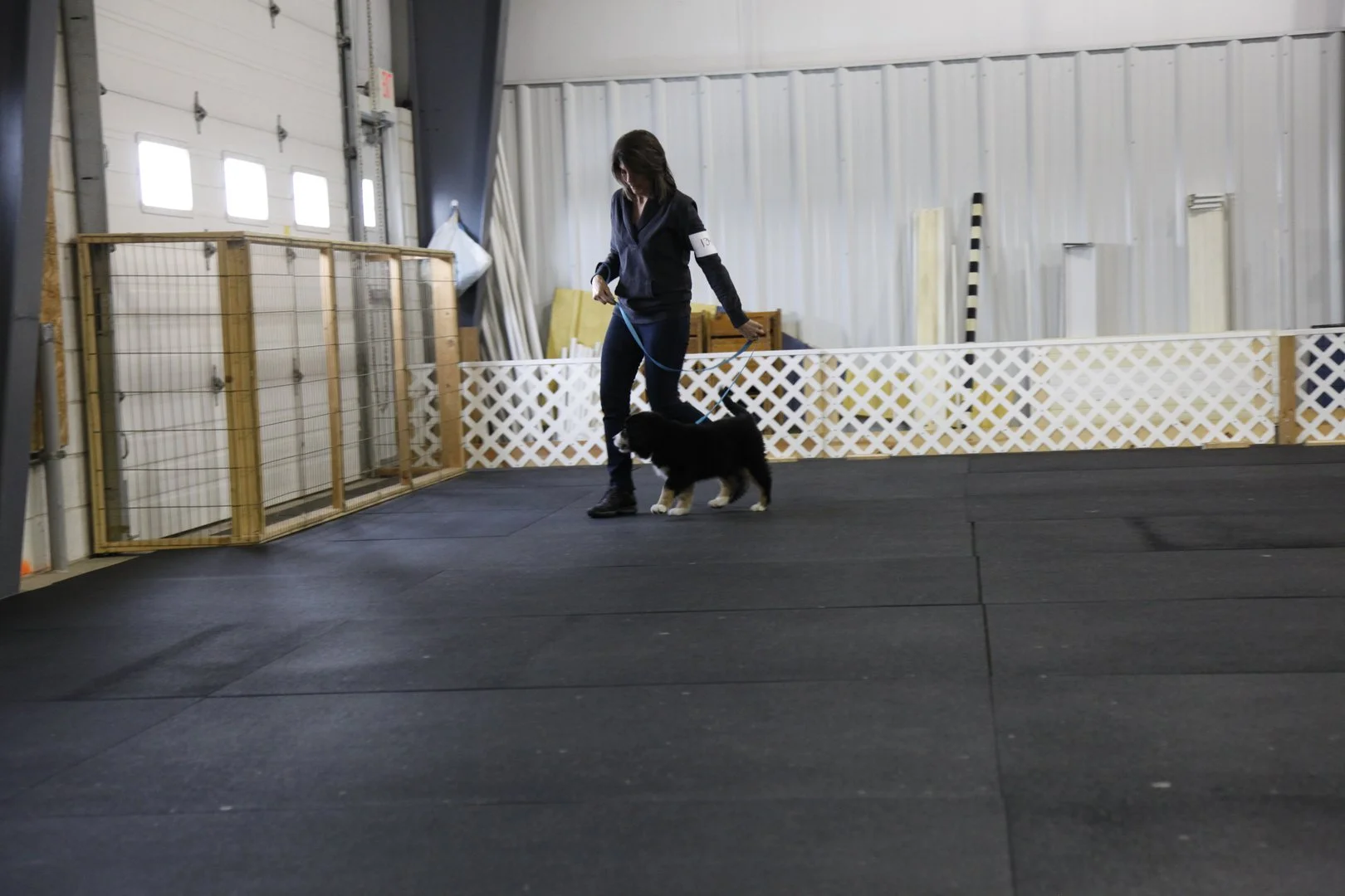 9747a96fb518b62bf6ace34445842cc8.jpg