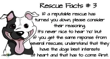 RESCUE FACTS 3.jpg