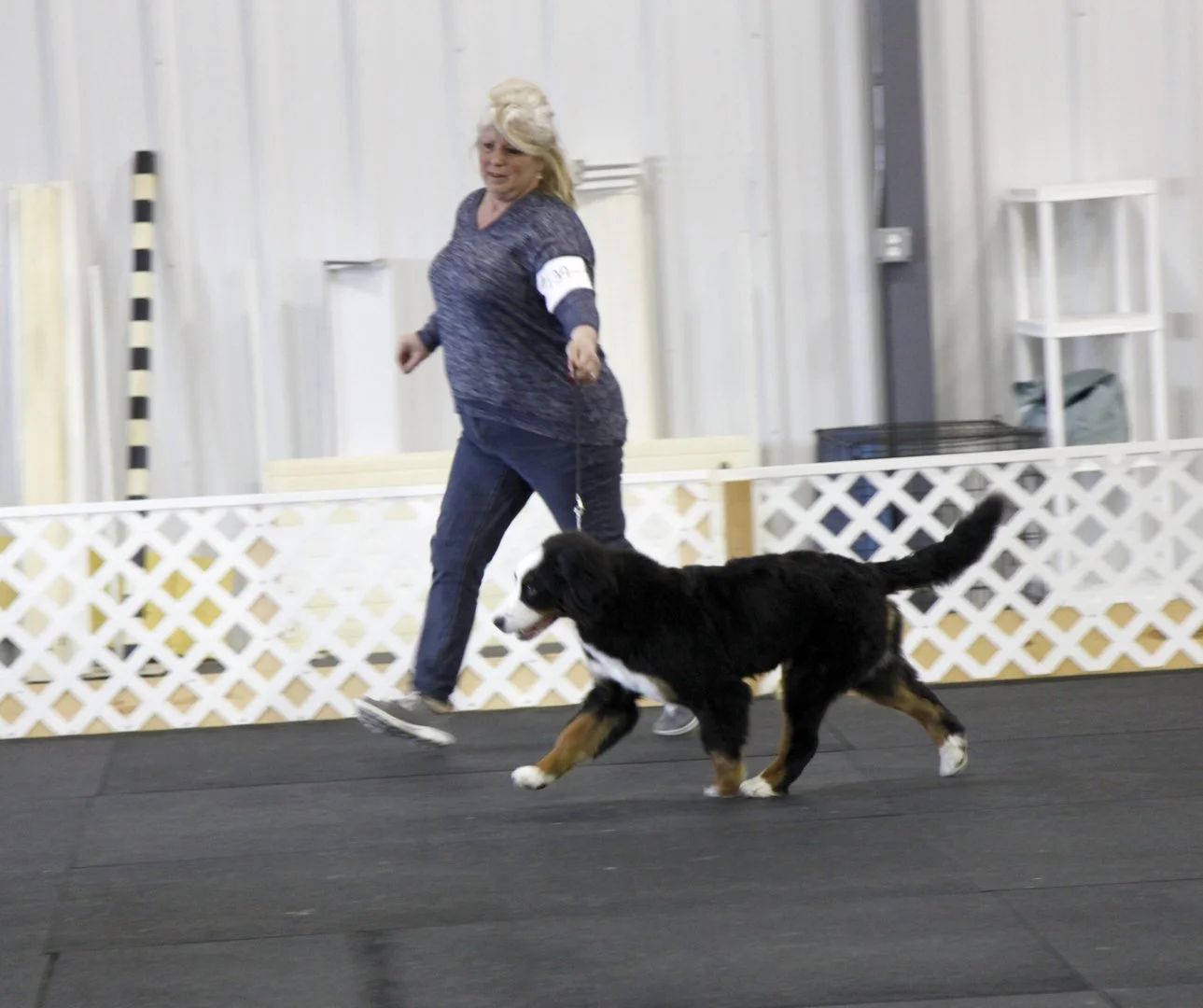 0275bcf5ef2a0d7619fbf5ac1eb04431.jpg