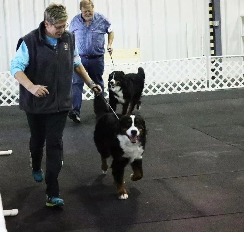 08b016329caee3df30390a94d1349848.jpg
