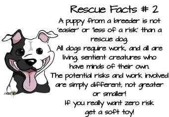 RESCUE FACTS 2.jpg