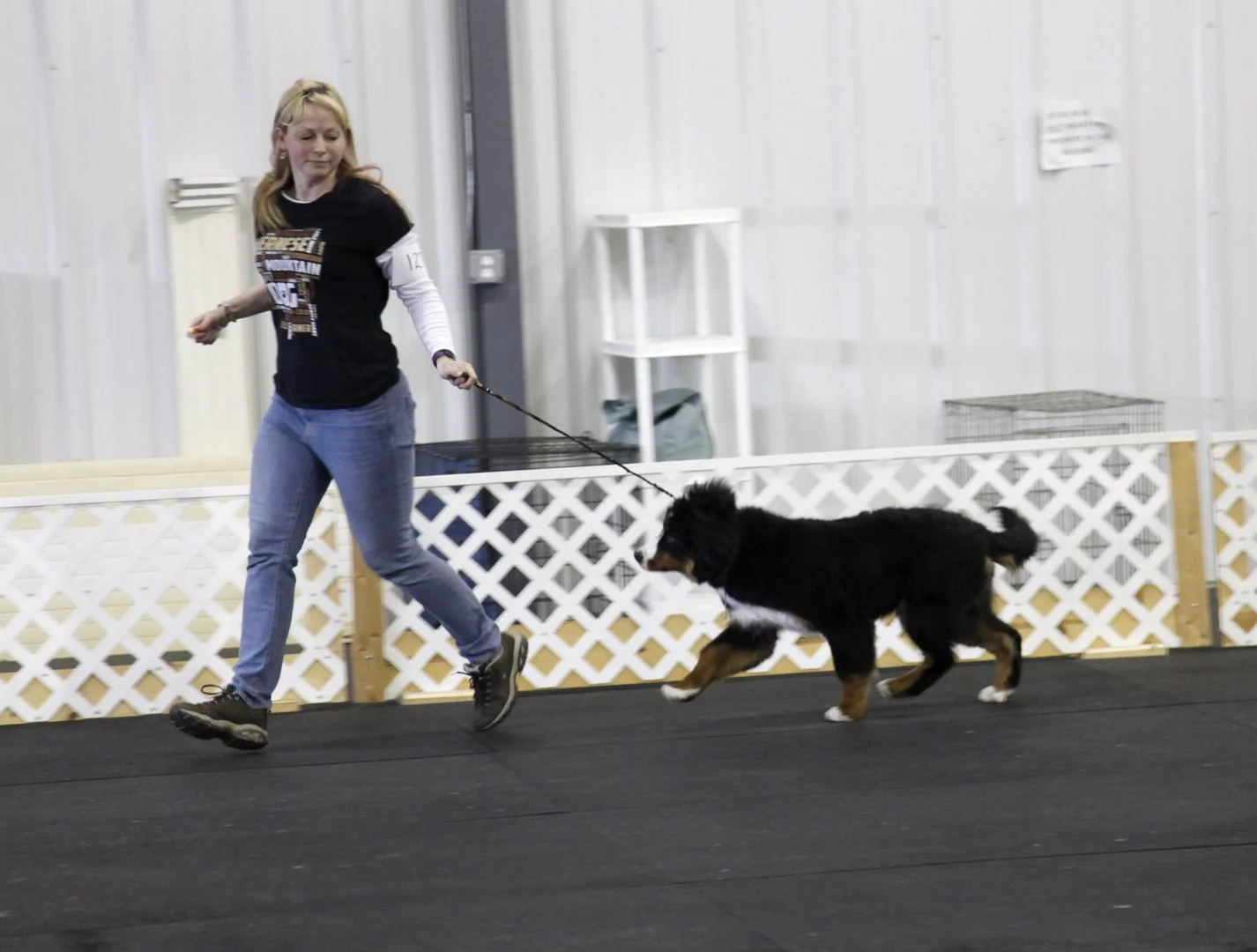 ac518175d880855d980af36f8c1faa21.jpg