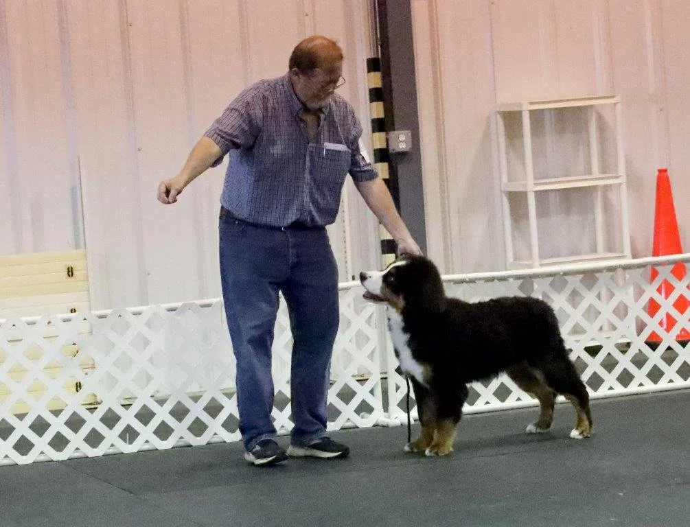 322b8626e546aed6776692e3ce5b27cf.jpg