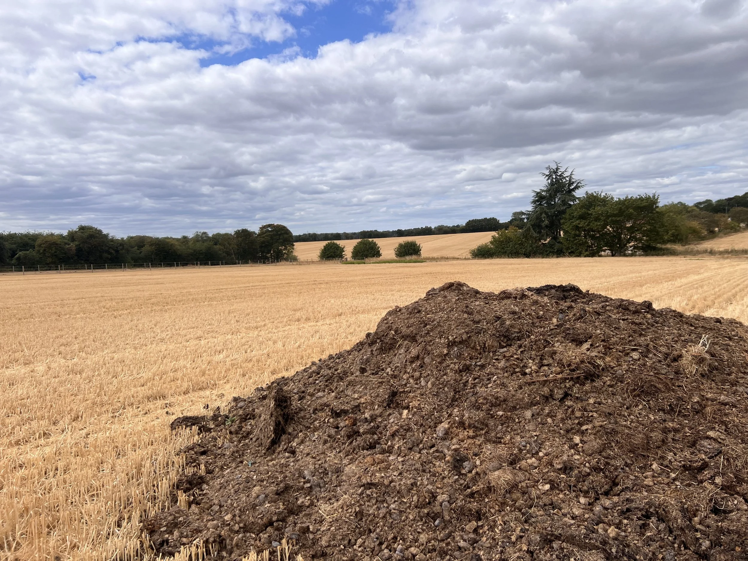 Getting to Know Our Soil