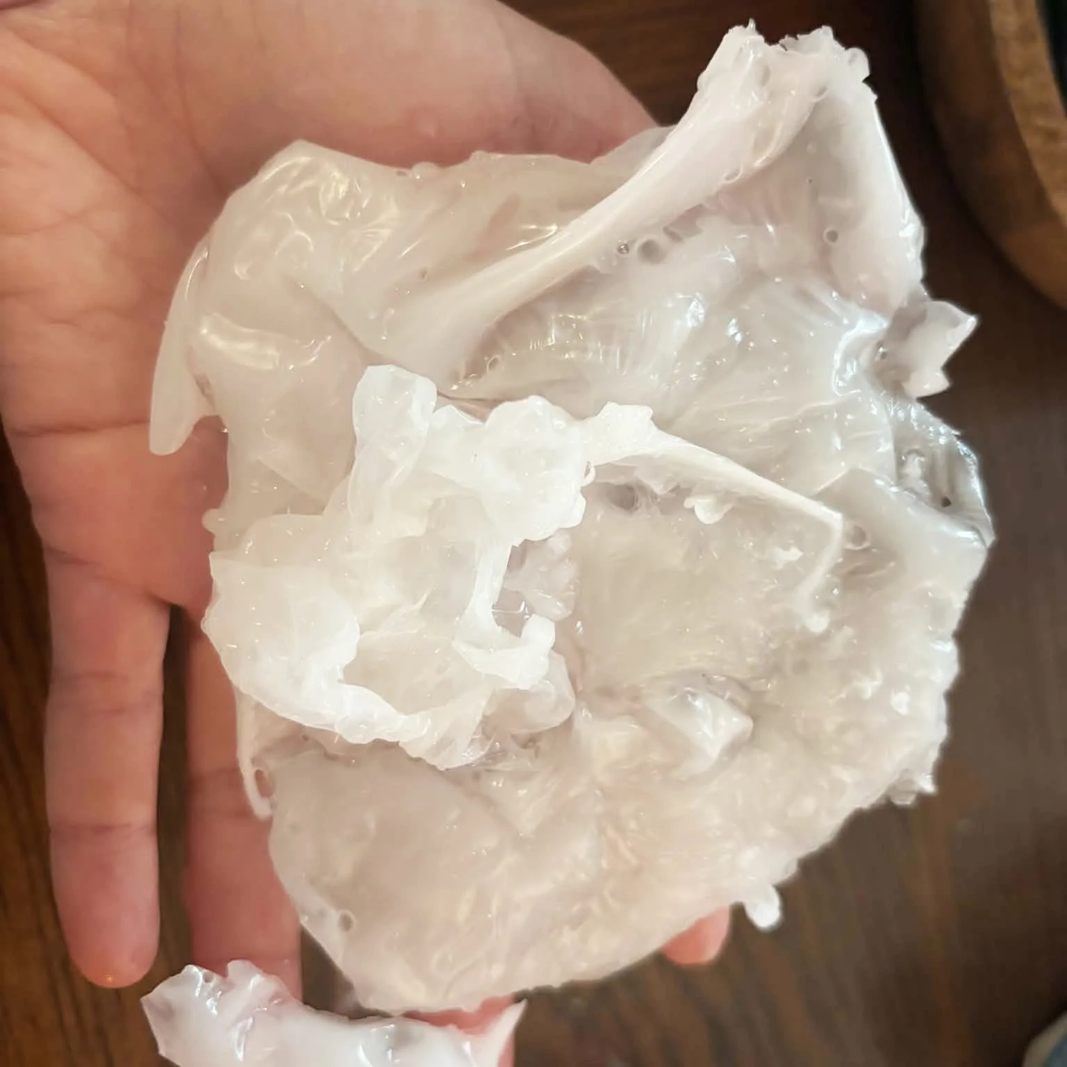 Close-up of a hand holding a large, crinkled, transparent piece of plastic wrap or cellophane.