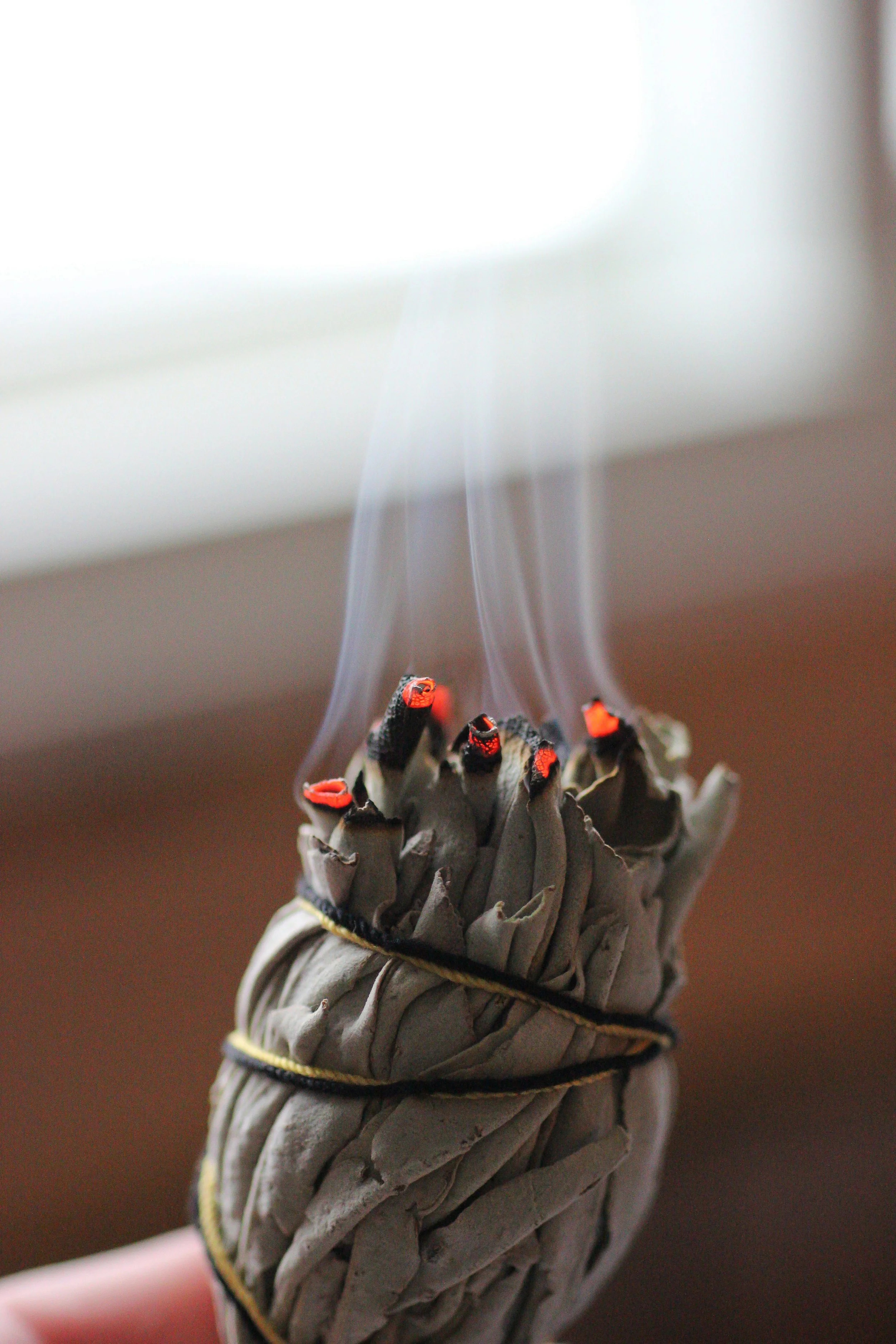 A bundle of burning sage with wisps of smoke rising from the top, held by a person's hand.