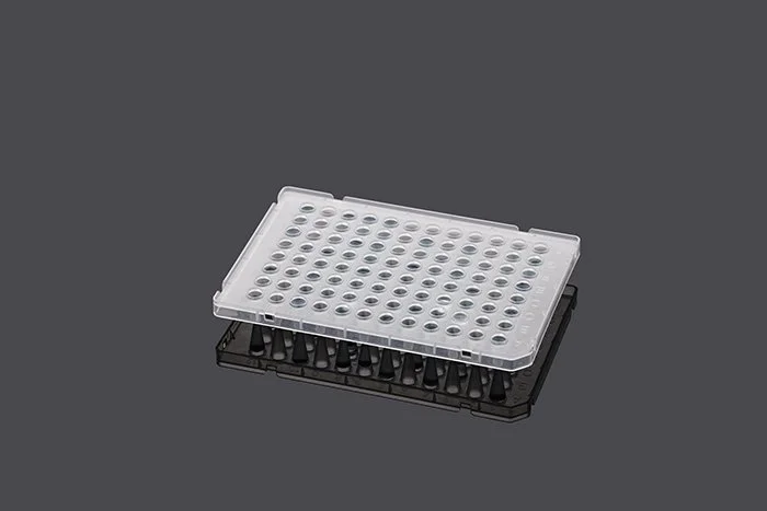 0.2 mL High Profile 96 Well PCR Plate – Semi-Skirted – A12