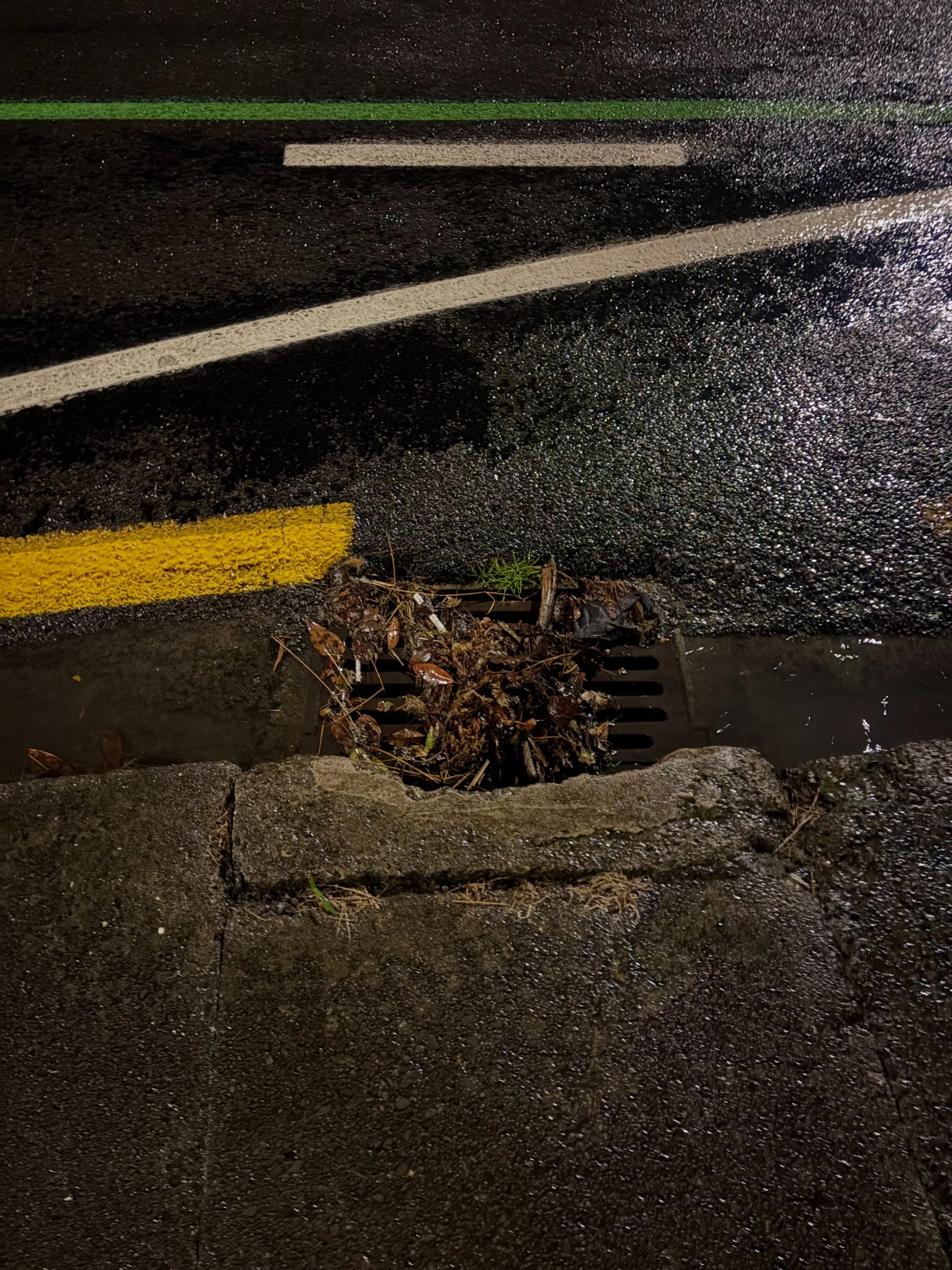 Meet Dave

Dave has been waiting a long time for someone to notice him

He&rsquo;s been feeling a little neglected

He&rsquo;s spent months collecting leaves, silt, sticks and... whatever else comes along

Most days, Dave keeps it together

But somet