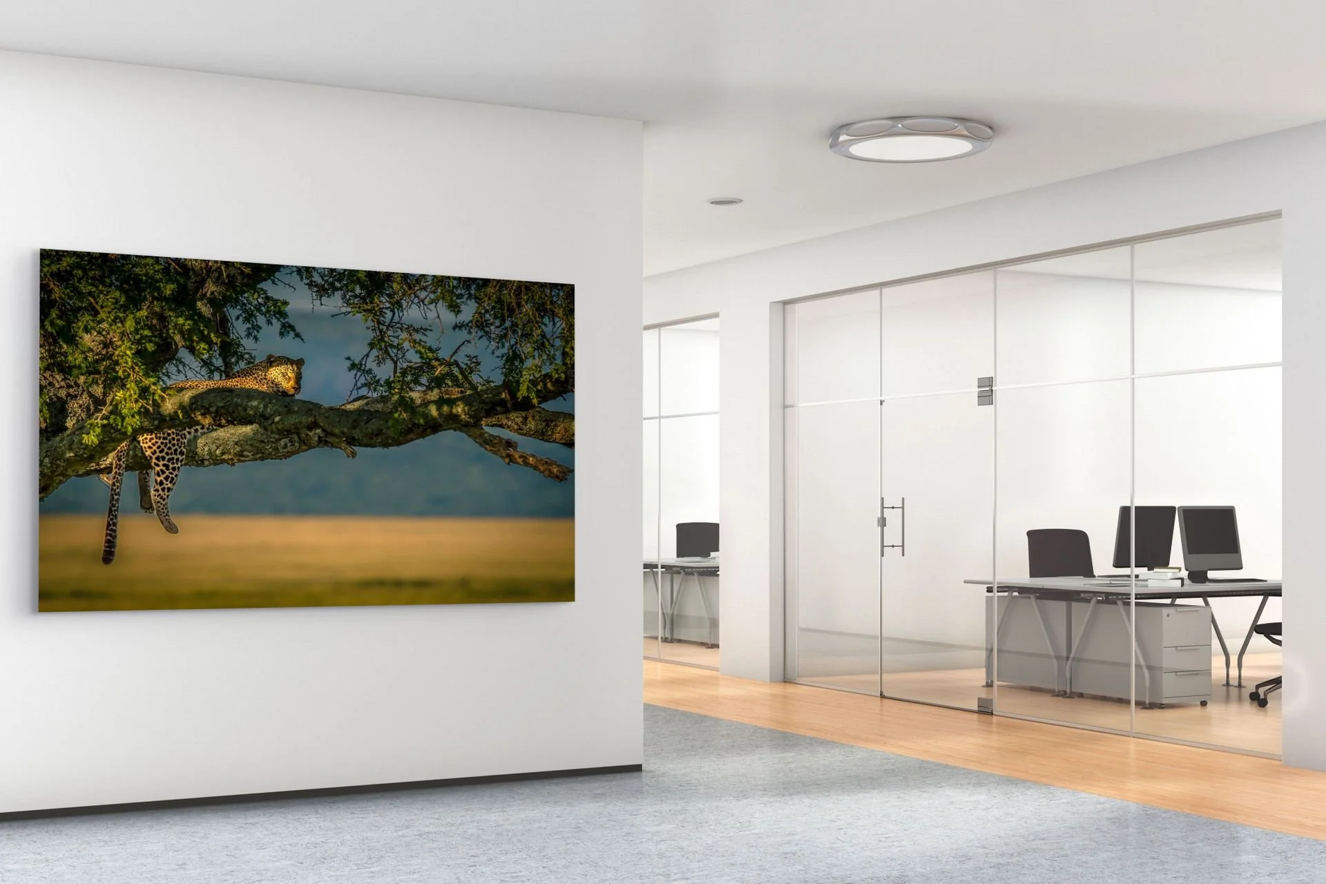 Leopard resting on a tree branch, wildlife print displayed in an office reception area