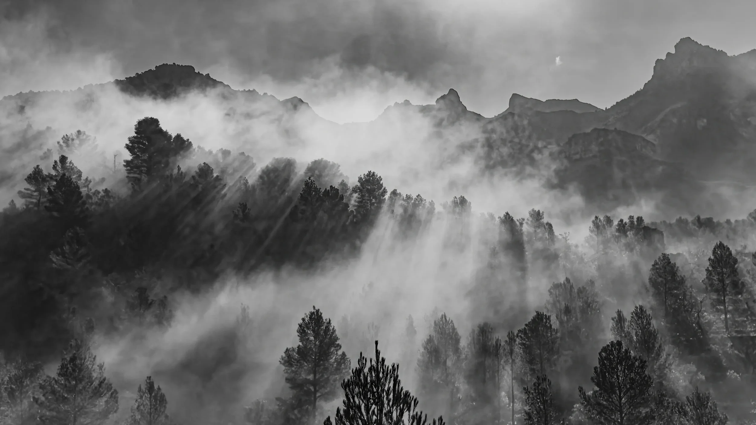 First Light After the Storm