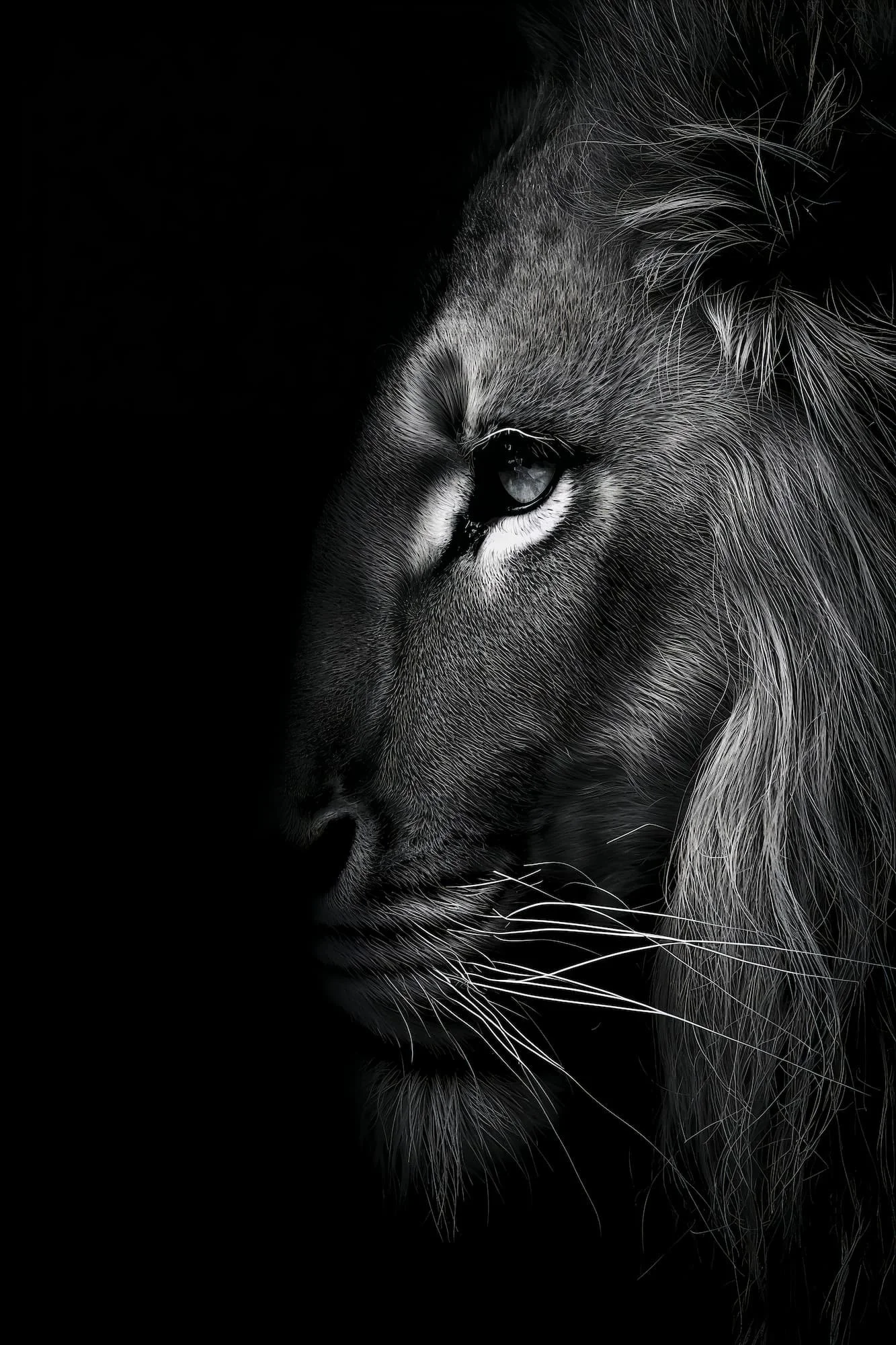 Black and white fine art lion portrait, AI-generated wall art print