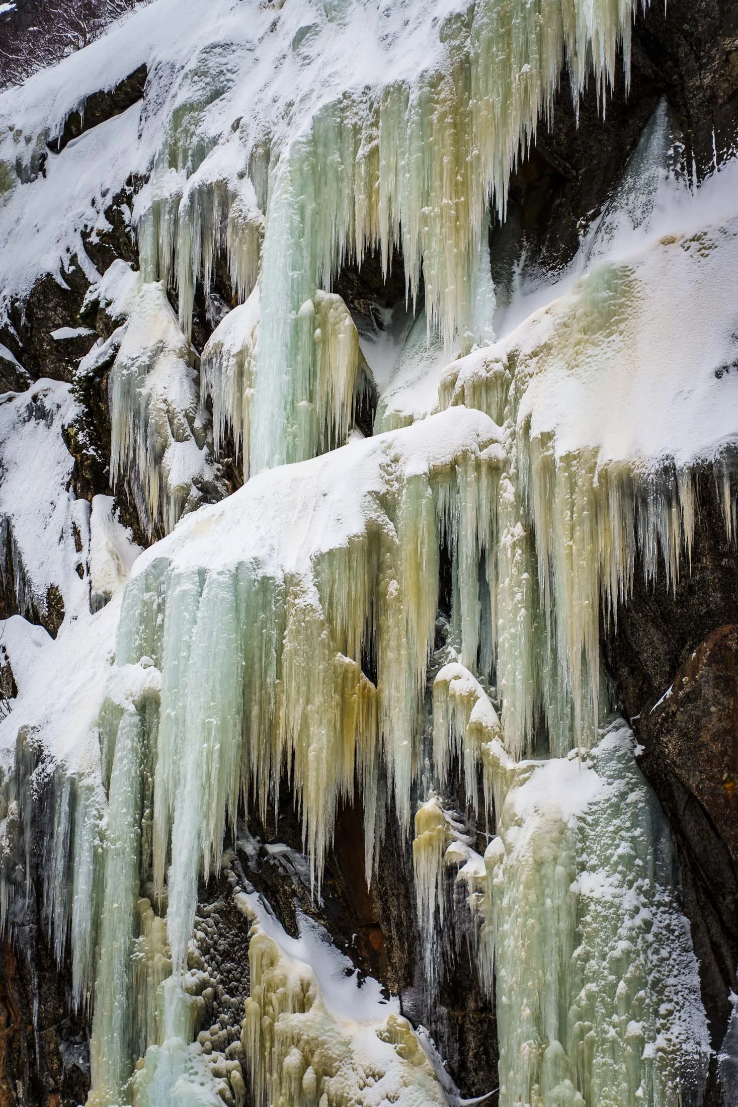 Frozen waterfall with green and gold ice formations on rock face, Trollfjord, Lofoten Islands, Norway, seen from a fishing boat