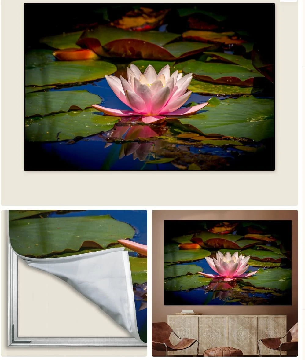 Pink water lily photo print on interchangeable canvas, shown in a living room wall art frame