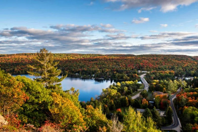 A scenic view of Lake of Bays, ON surrounded by trees with colorful fall foliage, a winding road, and a partly cloudy sky.