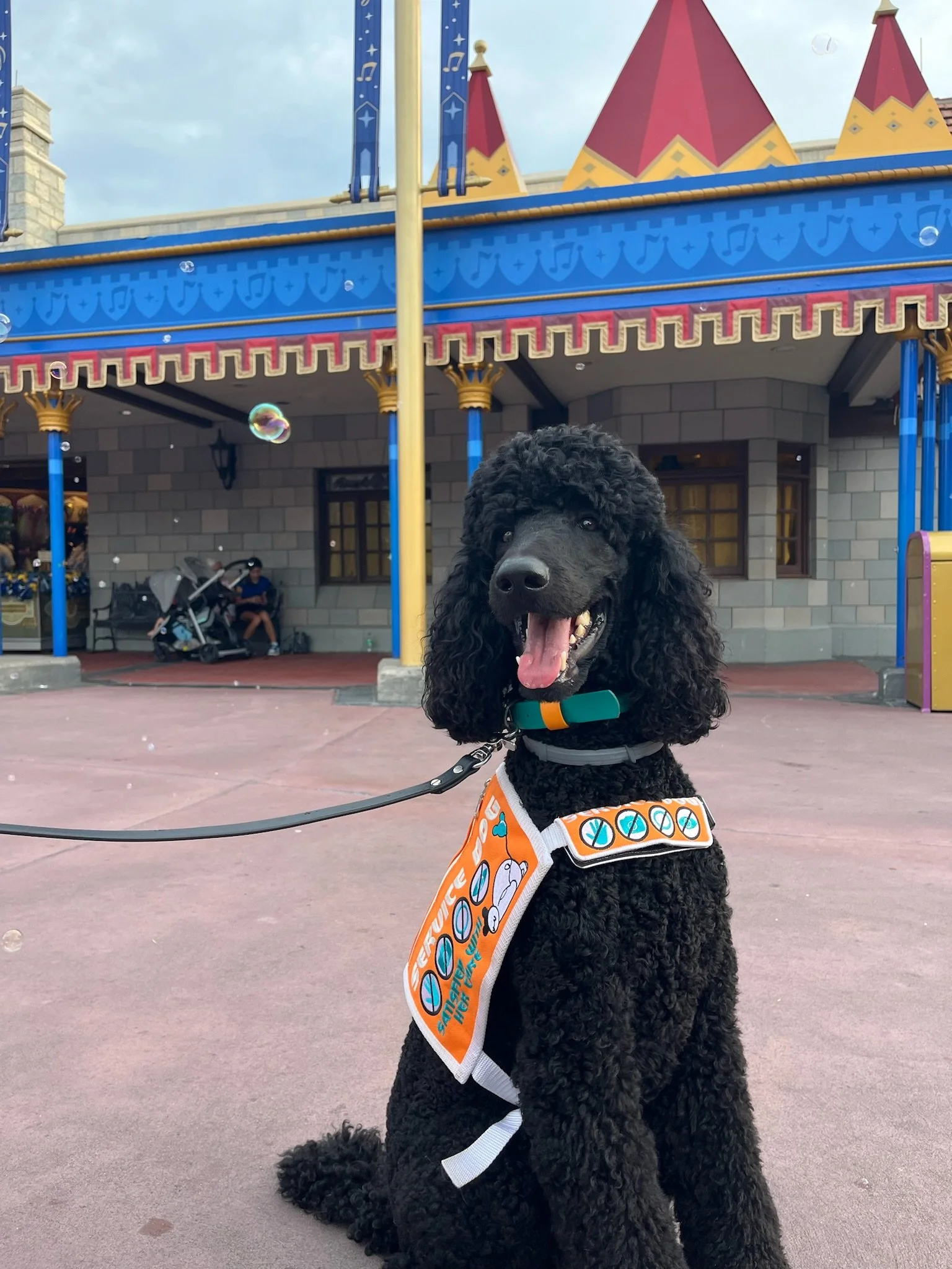 A black curly-haired dog, possibly a poodle, sitting in front of a colorful amusement park ride with red and yellow conical roofs. The dog is wearing a bandana with bright colors and symbols, and a harness attached to a leash. There are a stroller, benches, and people in the background.