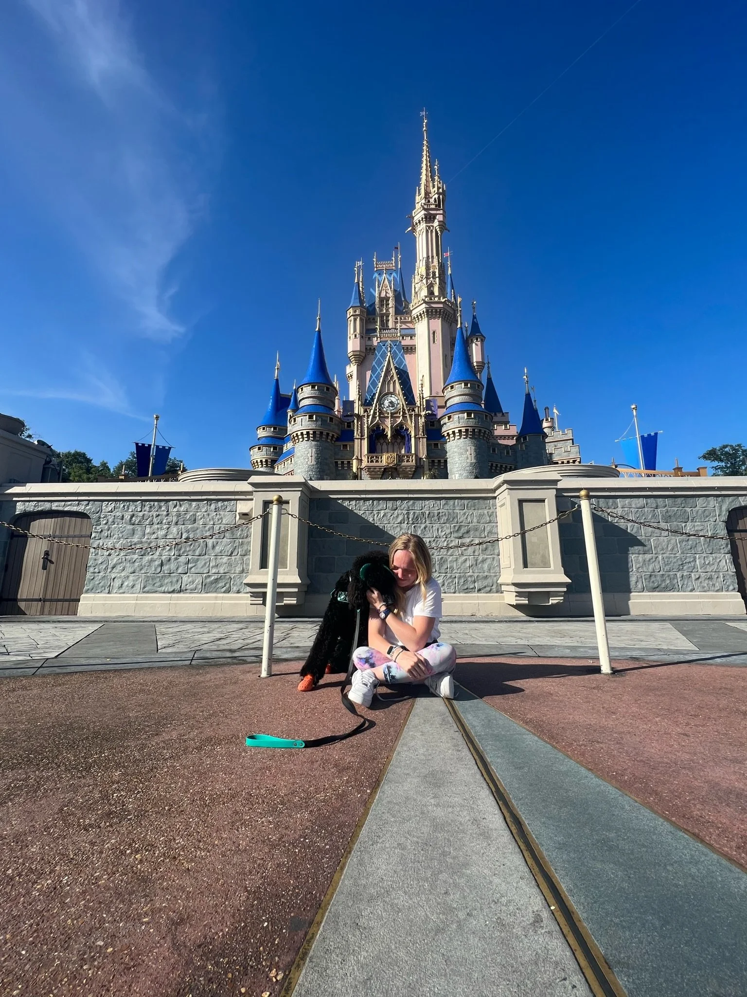 A woman sitting on the ground in front of a castle at a theme park, hugging a black dog. The castle has pink walls, blue roofs, and spires, with a clear blue sky in the background.