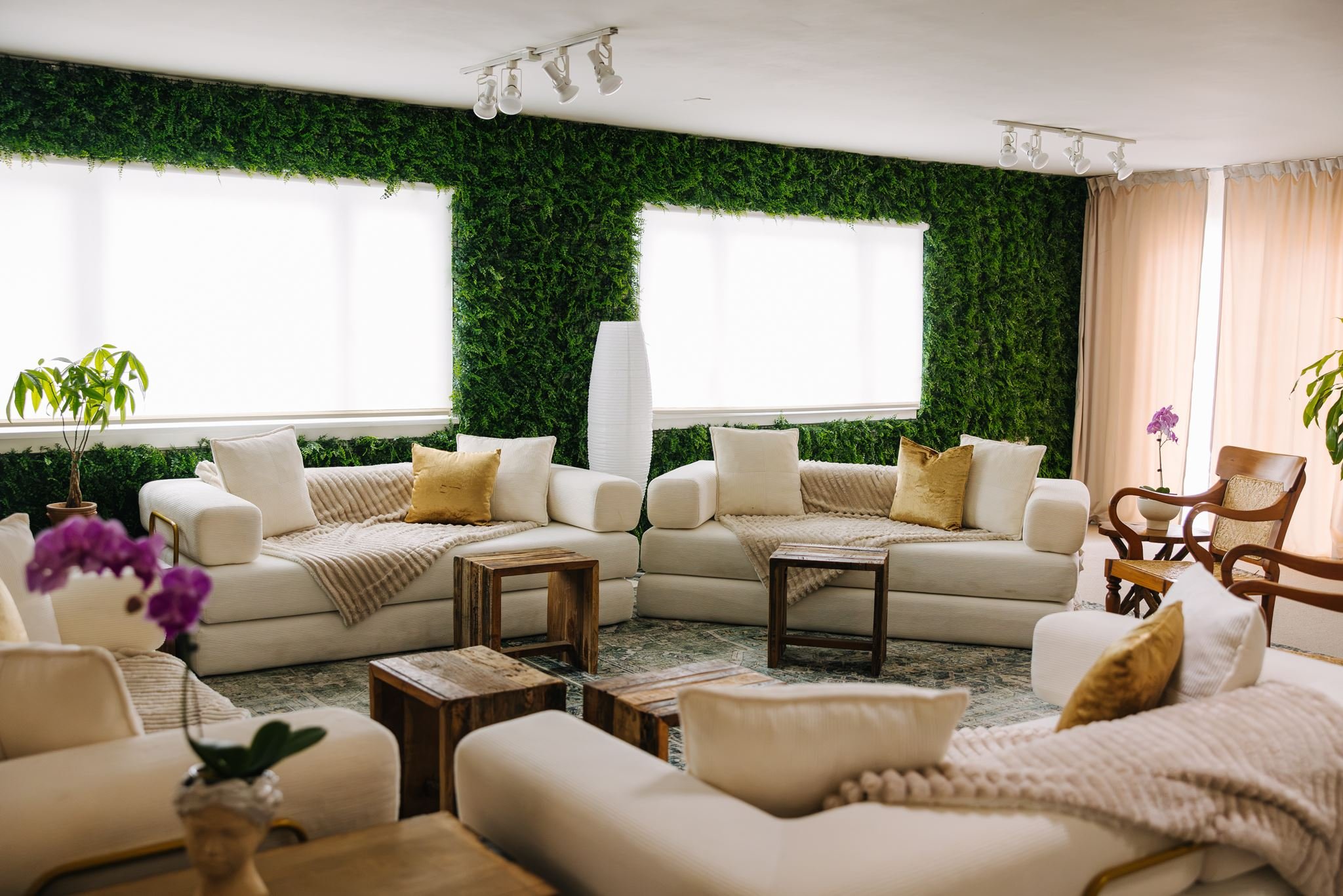 plush couches