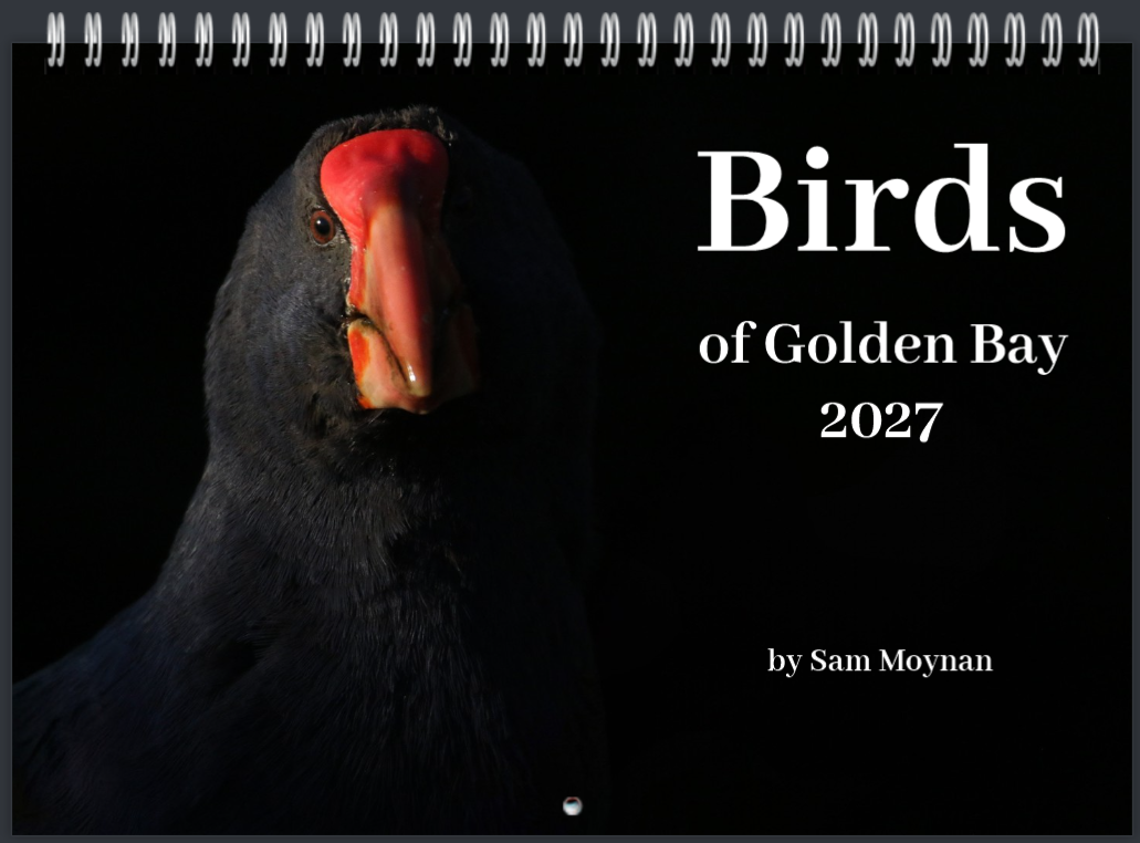 2027 'Birds of Golden Bay' Calendar