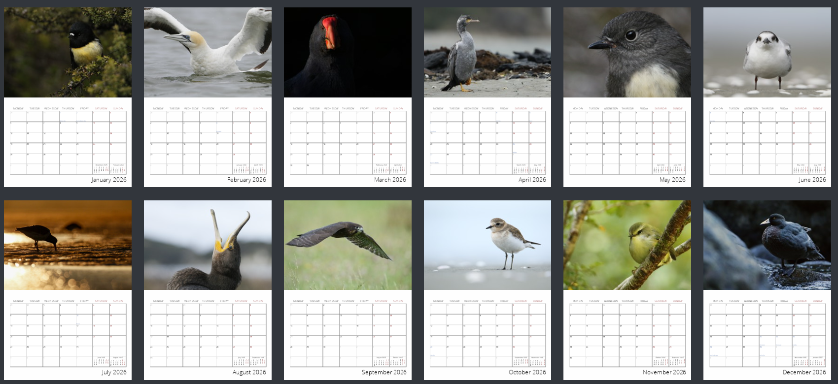 sam-moynan-calendar-2027-2.png