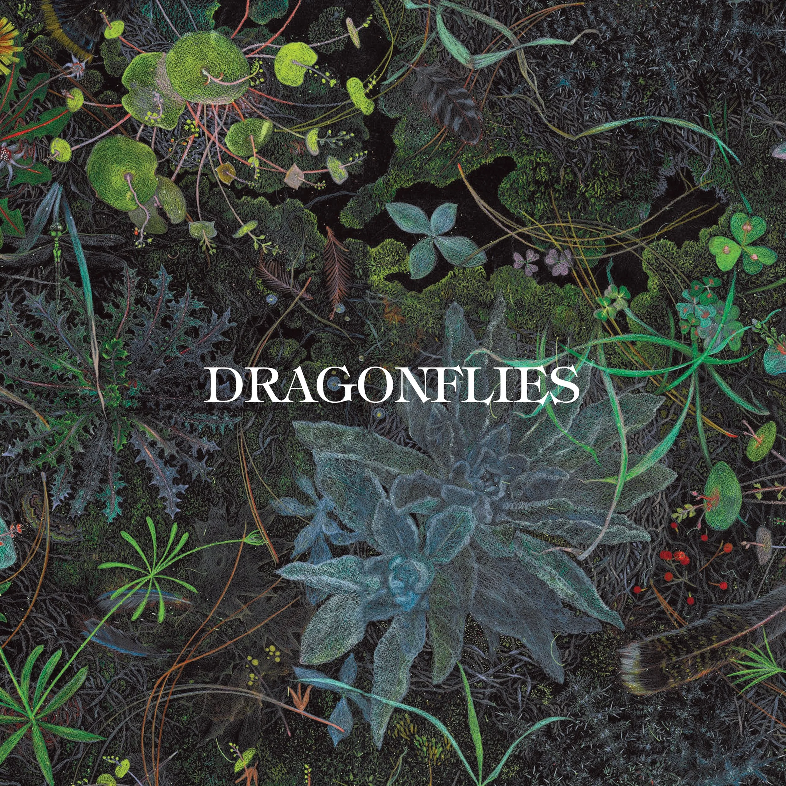 Dhani Harrison &amp; Nigel Godrich Announce Dragonflies