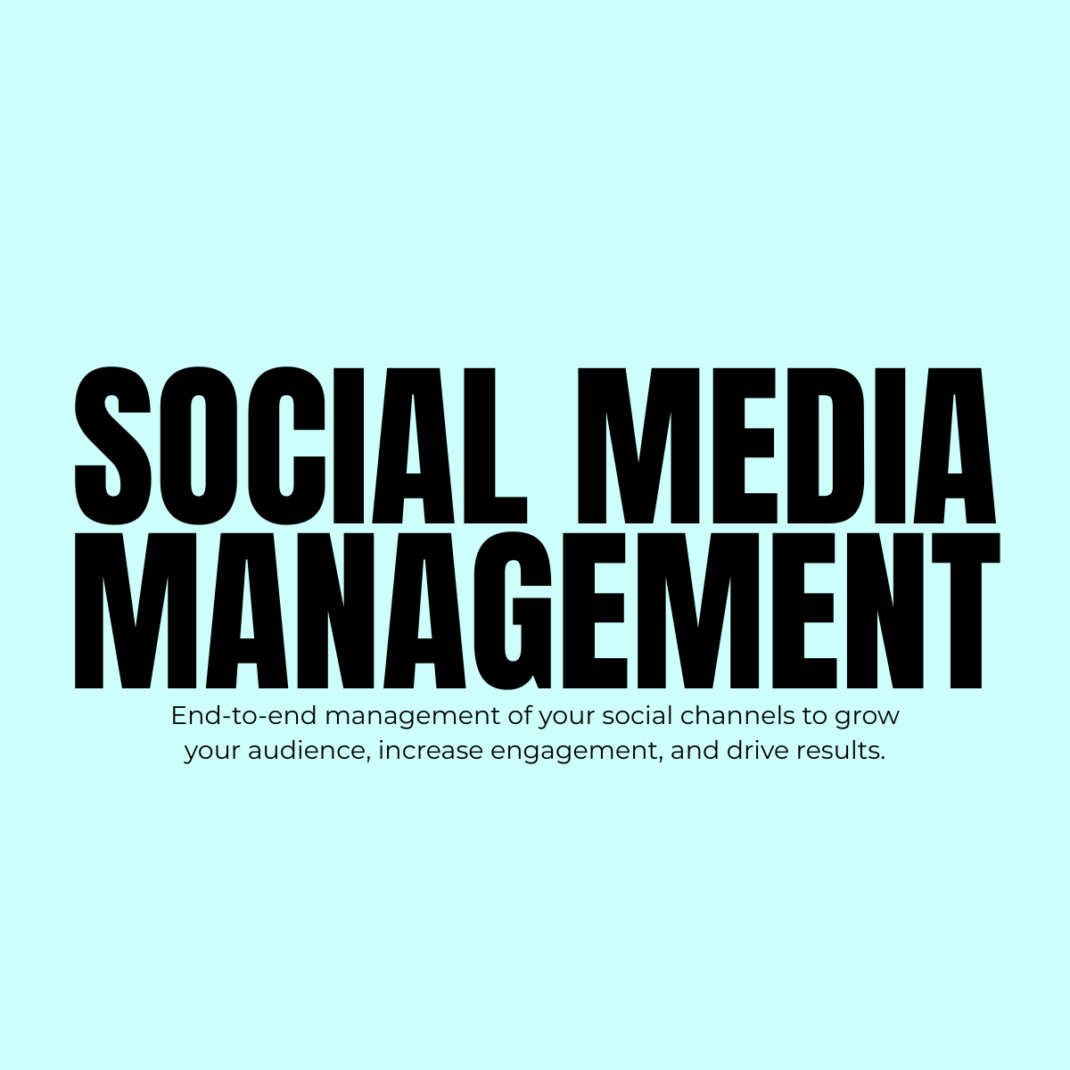 Social media management book cover with large black text on a light blue background, and smaller text below describing end-to-end management of social channels to grow audience and engagement.