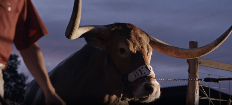 University of Texas (Commerical)