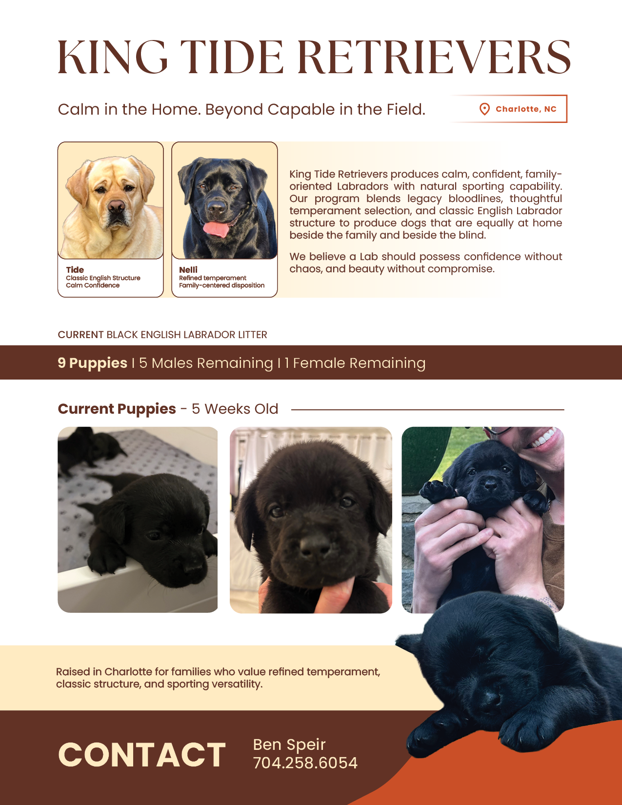 King Tide Retrievers - Flyer - V1 - em.png