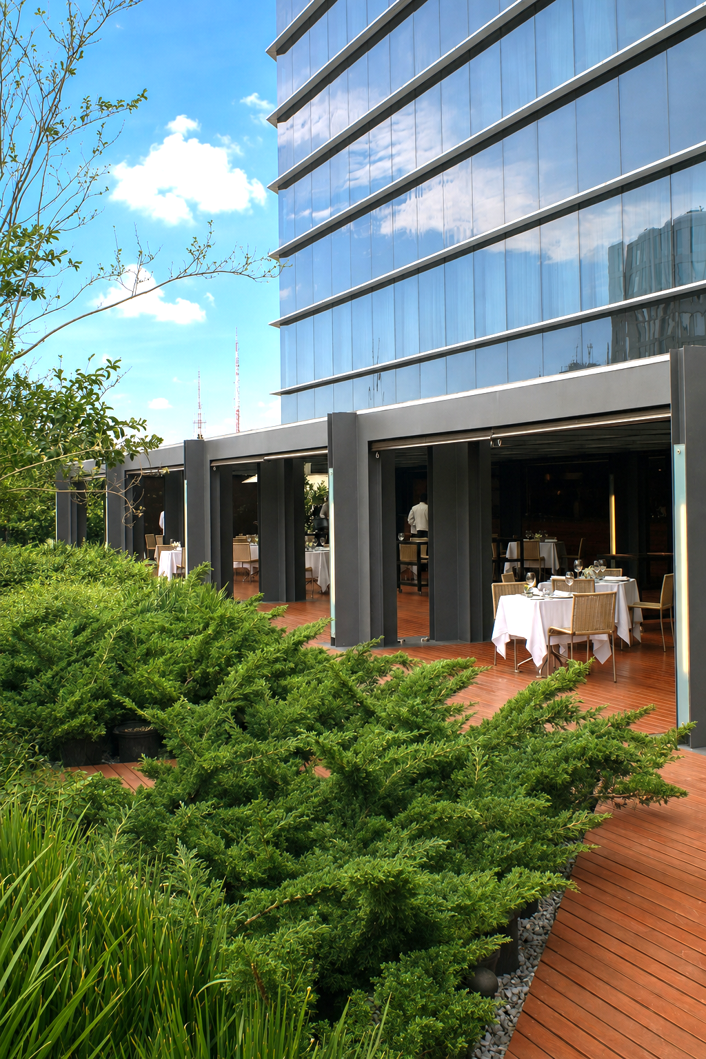 Hilton Rooftop