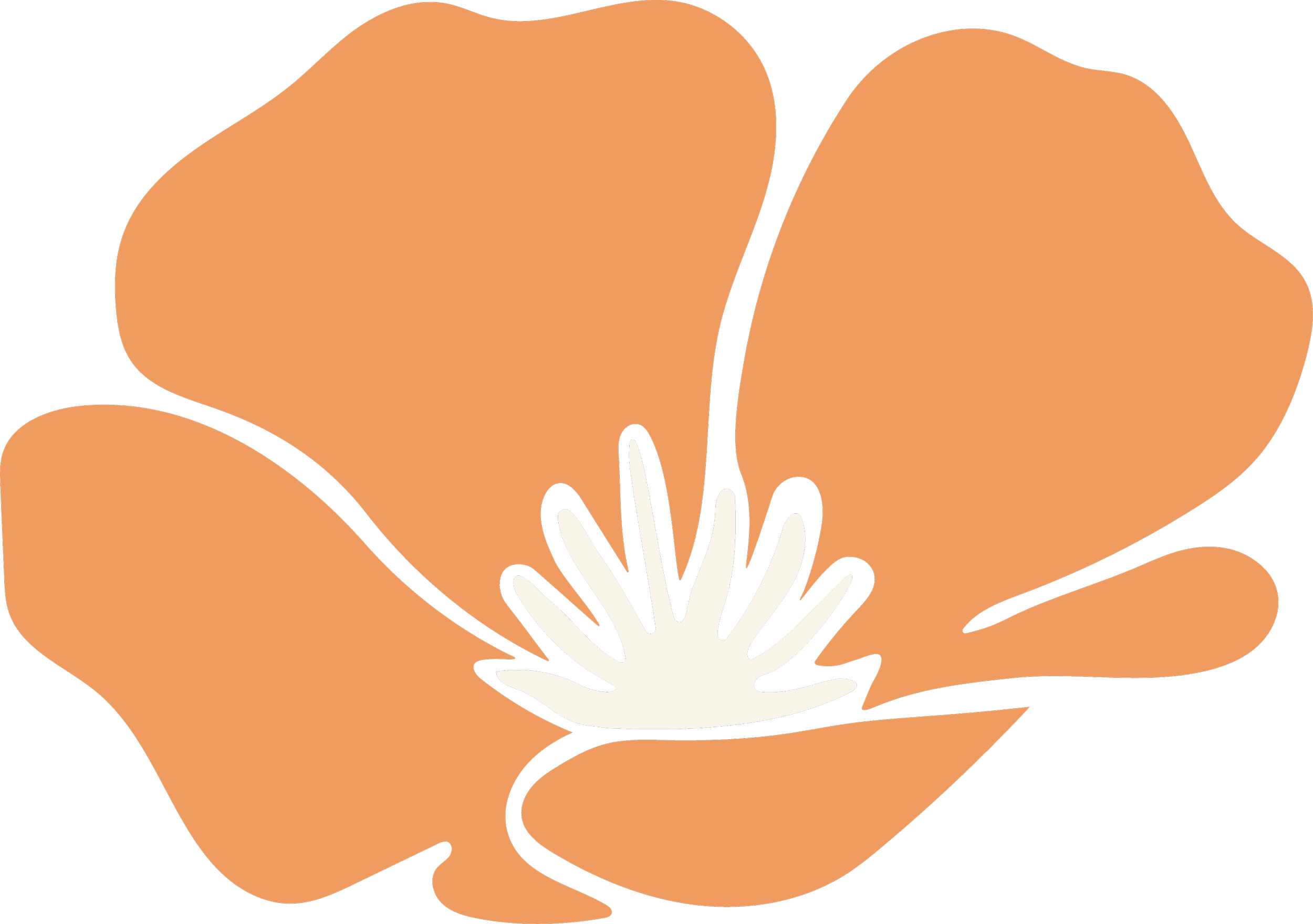 A close-up illustration of a fully open, orange California poppy blossom.