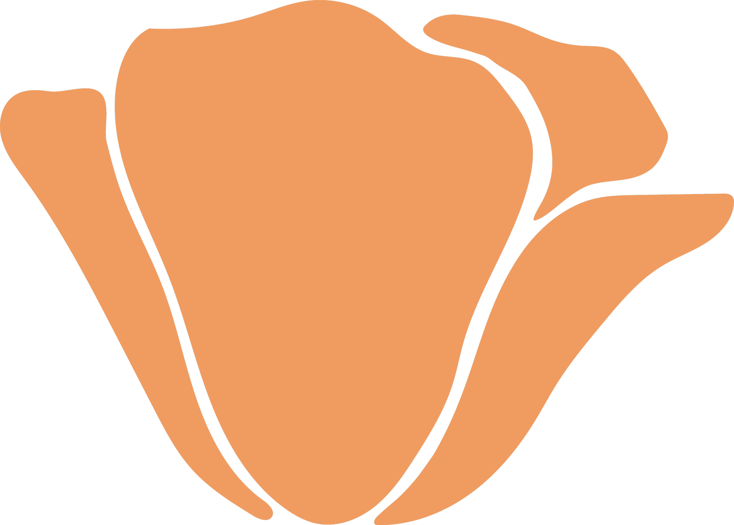 Stylized illustration of a blossoming, orange California poppy, viewed from a side angle.