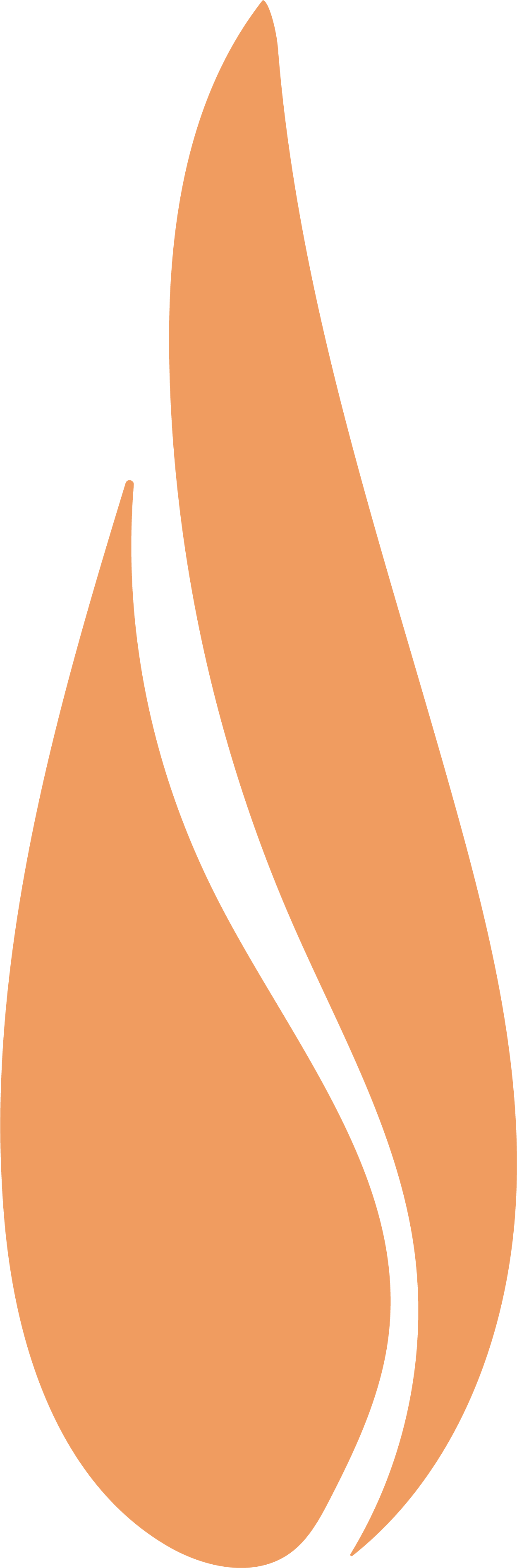 Stylized illustration of an orange California poppy flower bud.