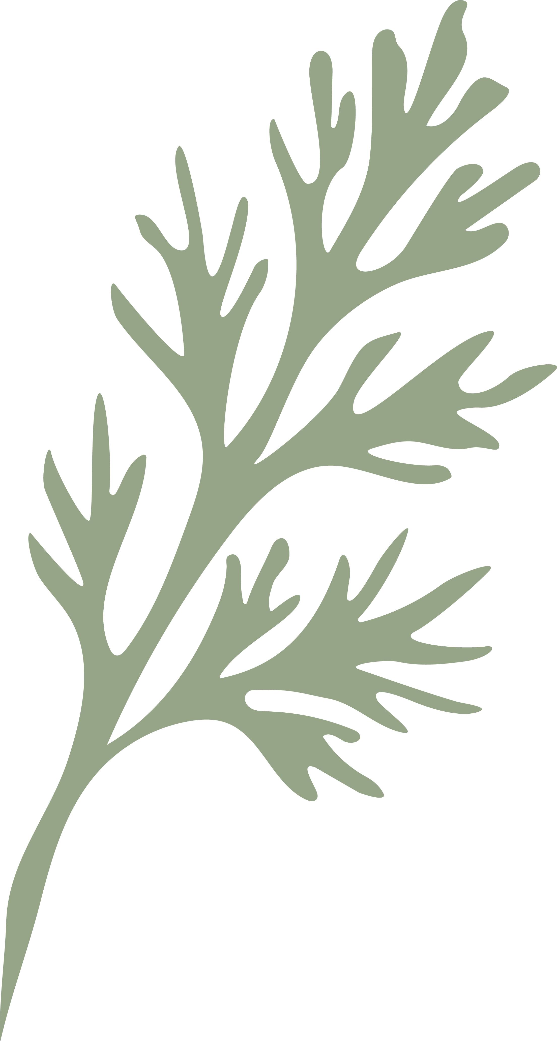 A digital illustration of a green leaf.