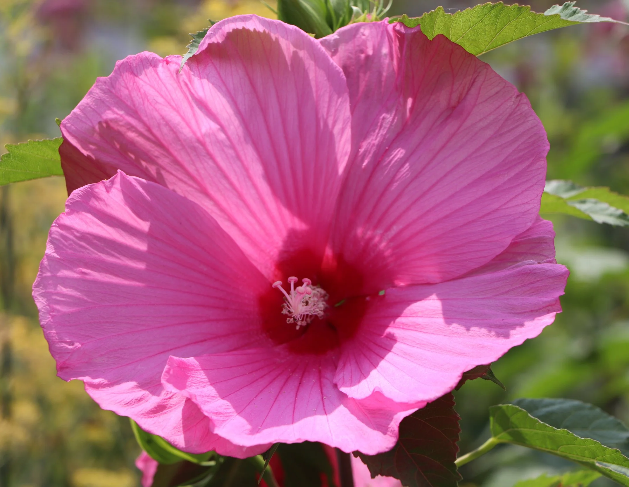 IMG_5164.png