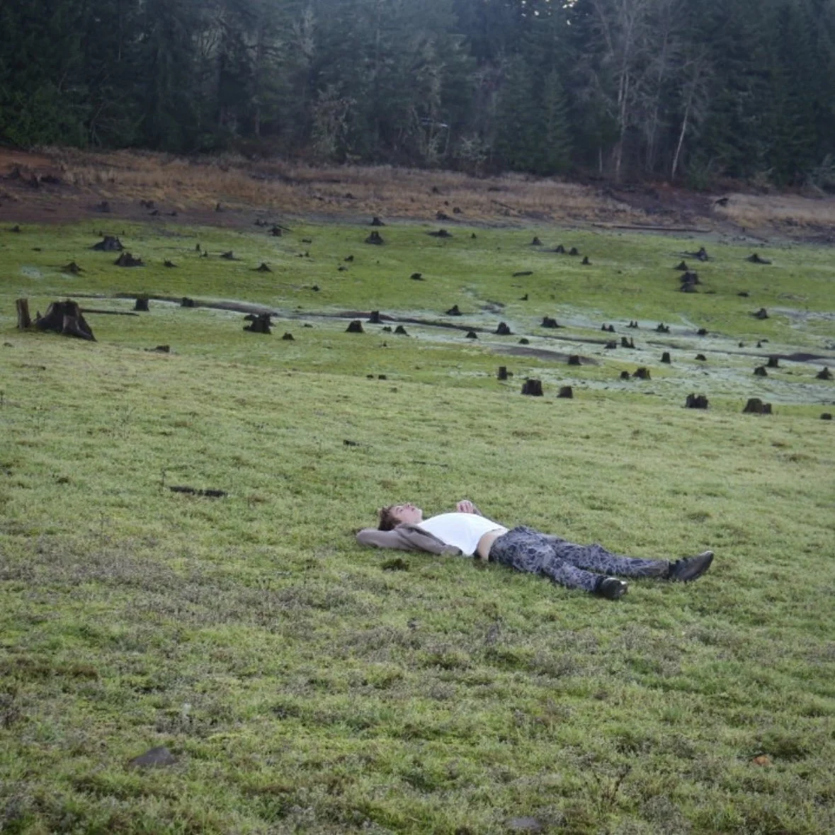 A person lying on the grass in a field, surrounded by tree stumps and fallen branches with a forest in the background.
