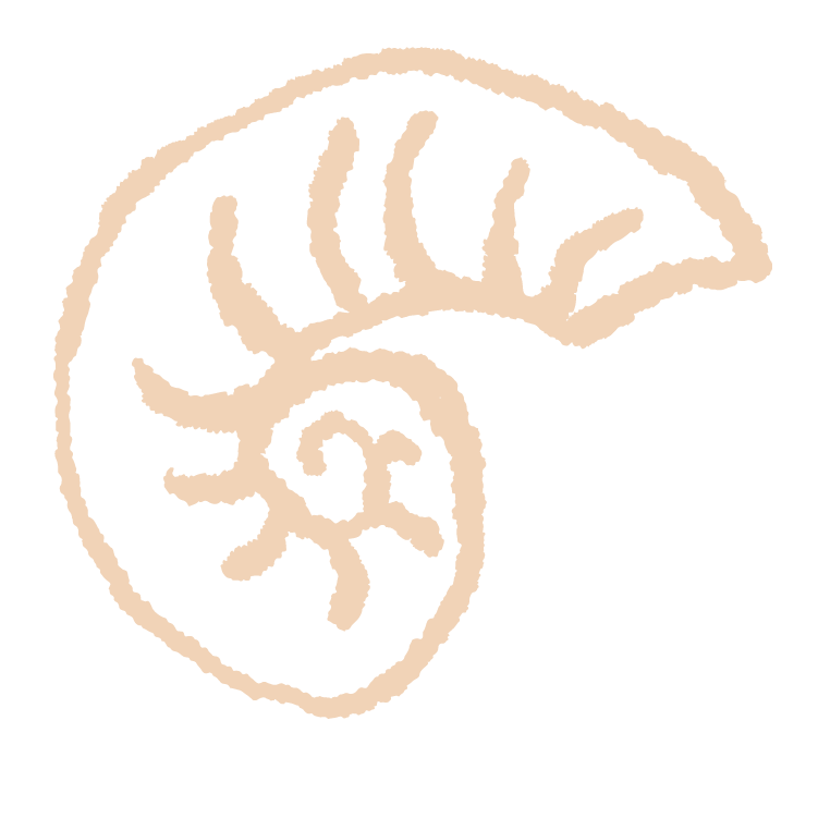 JingCovery method - Connection icon