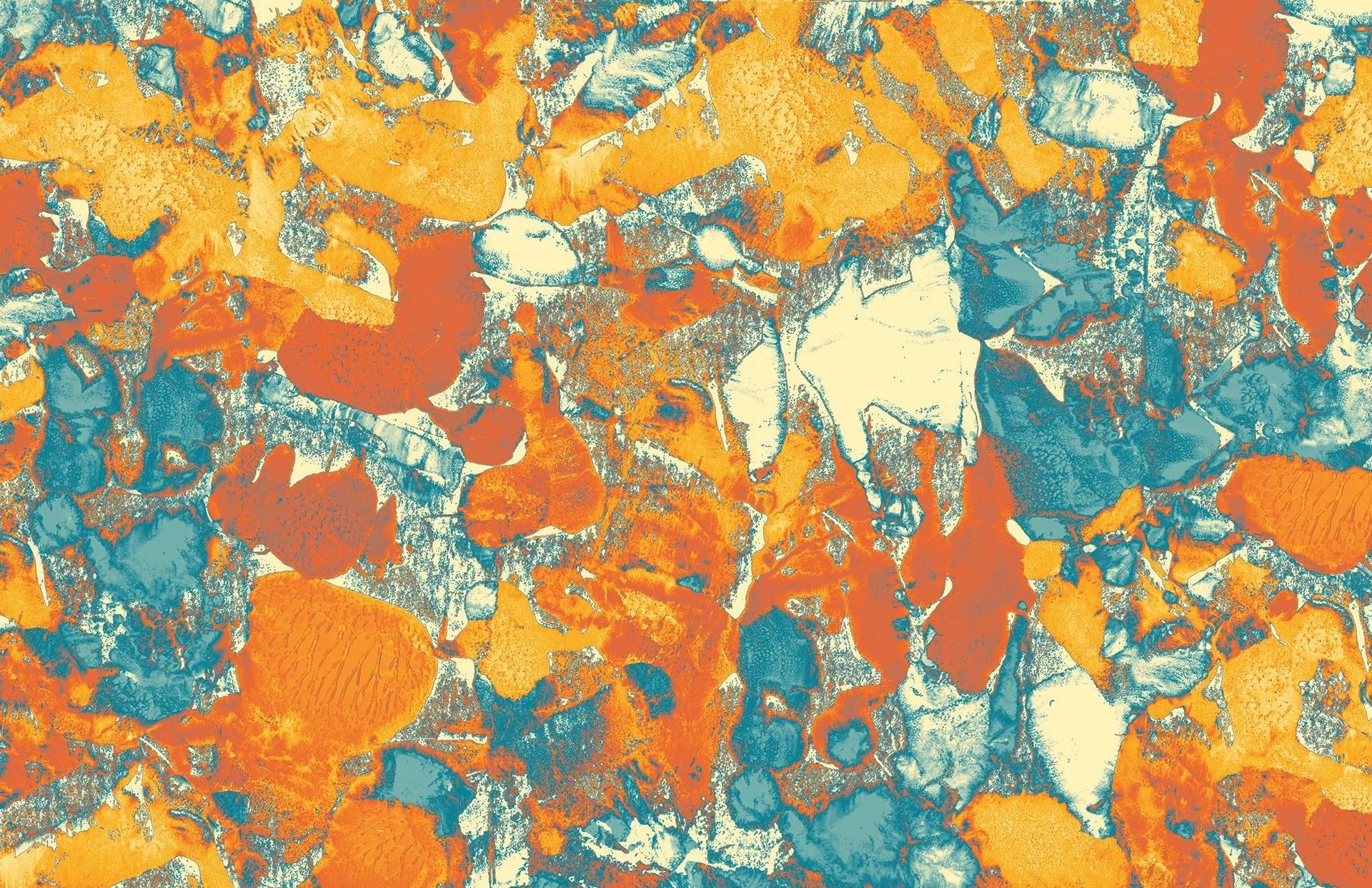 TheUnion_Texture_LR_6.jpg
