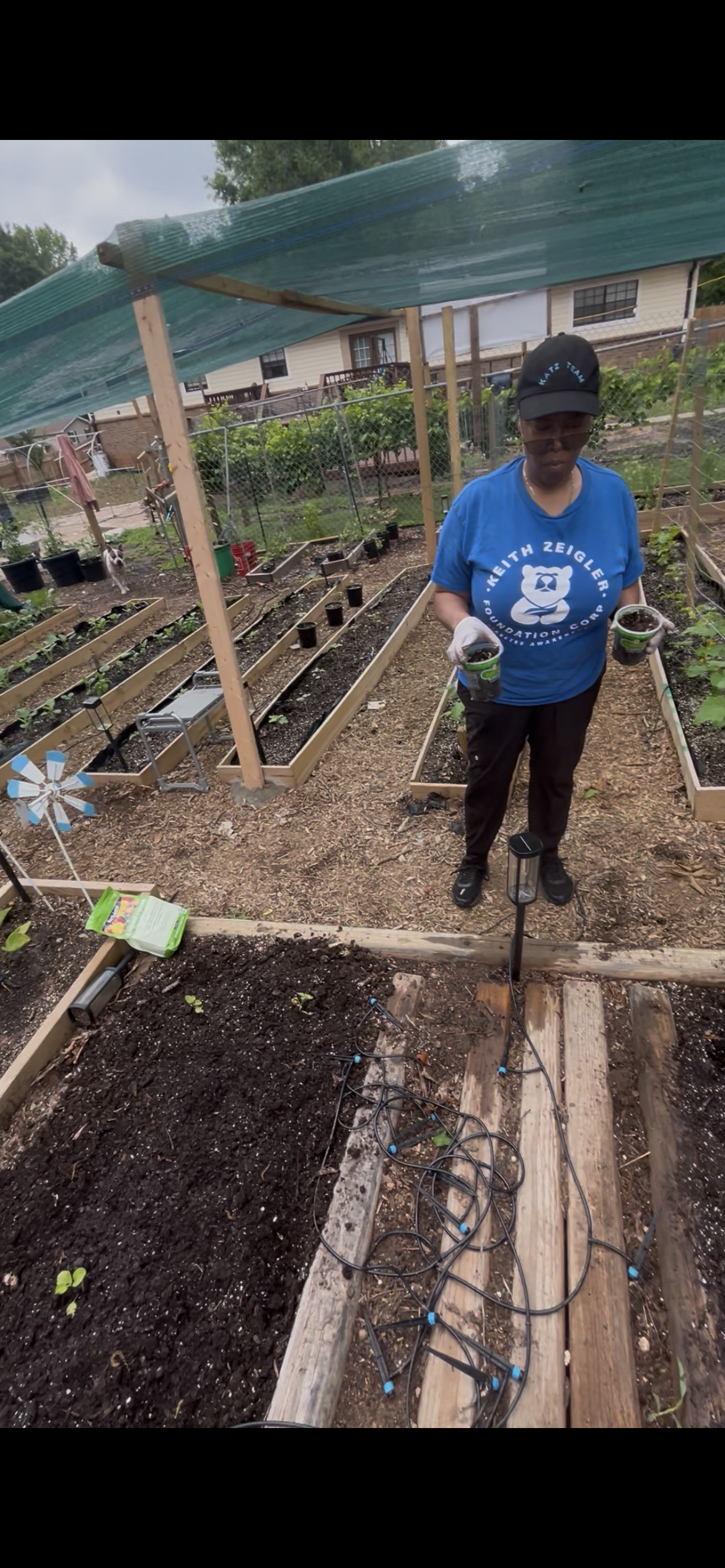Woman gardening in a backyard vegetable garden with raised beds, planting seedlings, holding small plants, with garden tools and irrigation tubes on the ground, and house in the background.