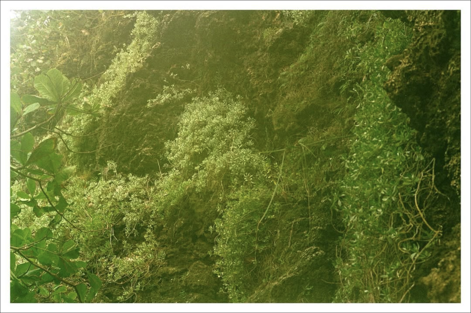 Screenshot 2026-07-24 at 6.14.45 PM.png