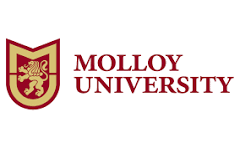 Honorary Degree