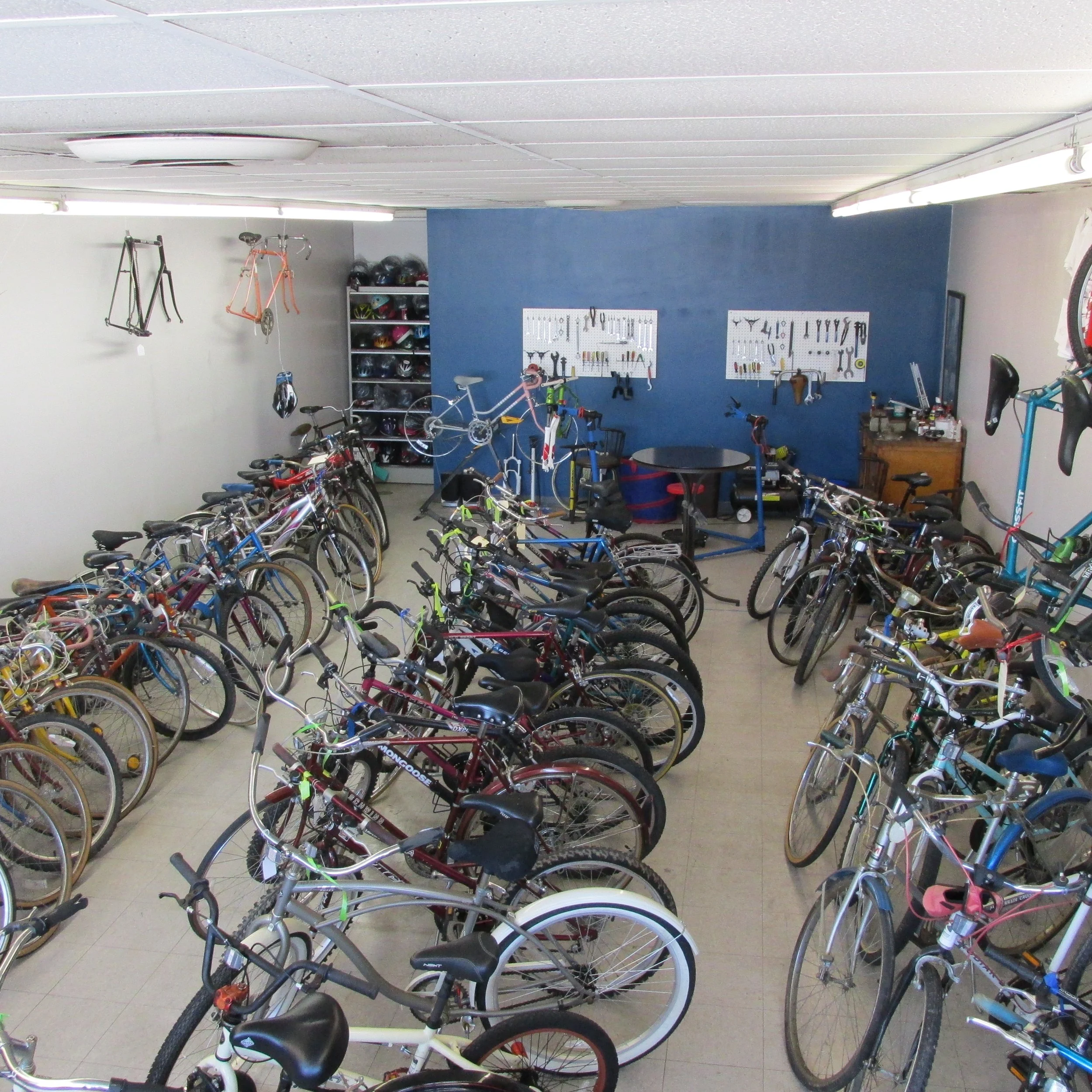 Original Shop 2013