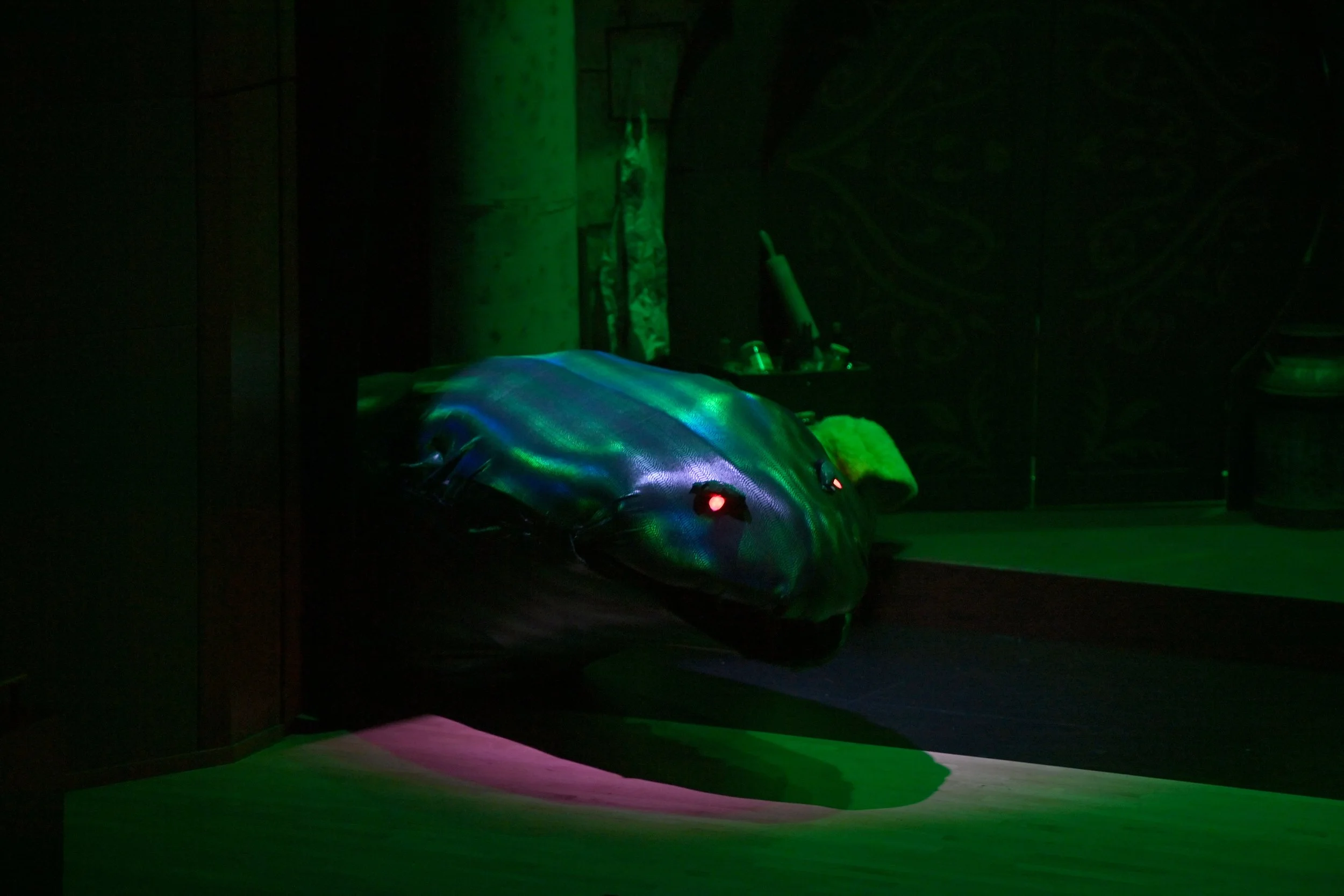 Puffs Opening night  CMM 265.jpg